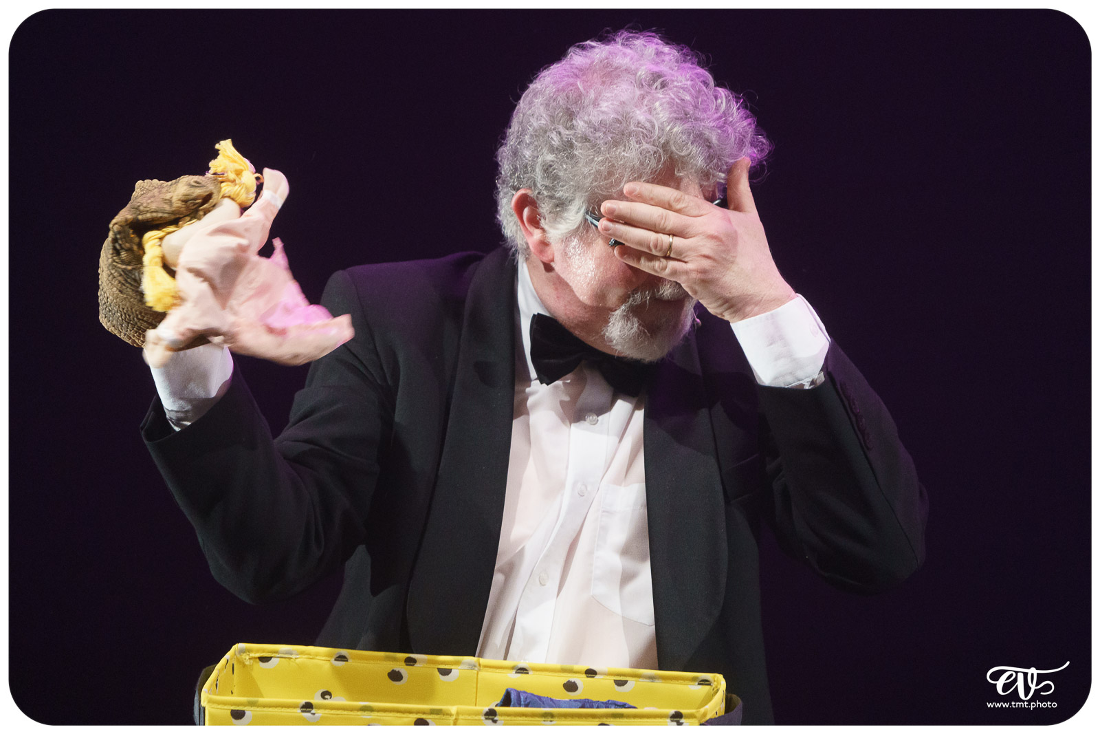 TOY BOYS - THE JASHGAWBRONSKY BROTHERS